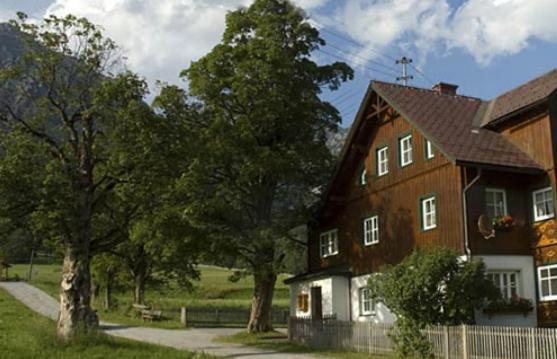 Appartements Wieseneck - Ramsau Am Dachstein - Inklusive Sommercard ! Ramsau am Dachstein Ngoại thất bức ảnh