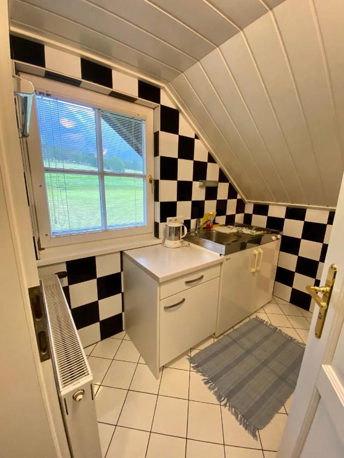 Appartements Wieseneck - Ramsau Am Dachstein - Inklusive Sommercard ! Ramsau am Dachstein Ngoại thất bức ảnh