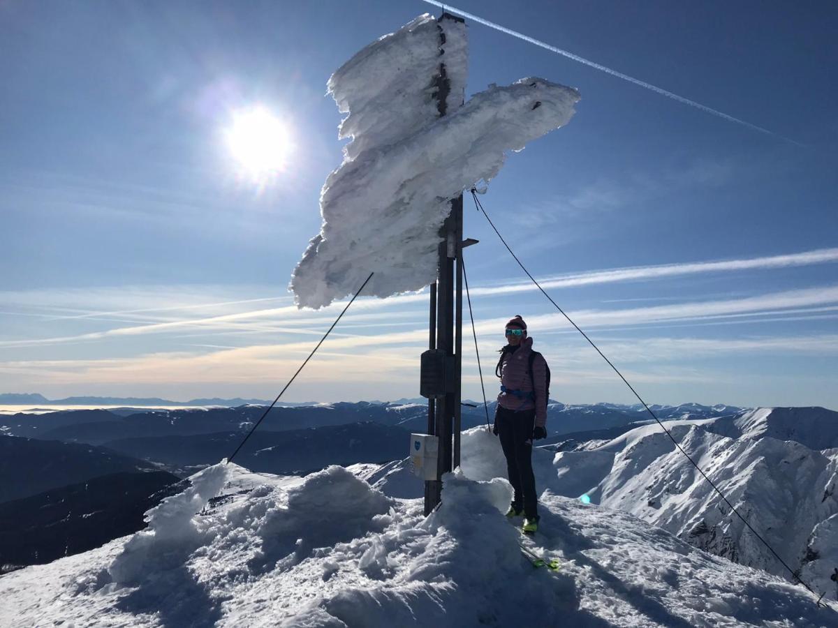 Appartements Wieseneck - Ramsau Am Dachstein - Inklusive Sommercard ! Ramsau am Dachstein Ngoại thất bức ảnh