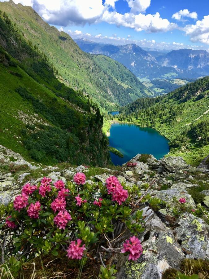 Appartements Wieseneck - Ramsau Am Dachstein - Inklusive Sommercard ! Ramsau am Dachstein Ngoại thất bức ảnh
