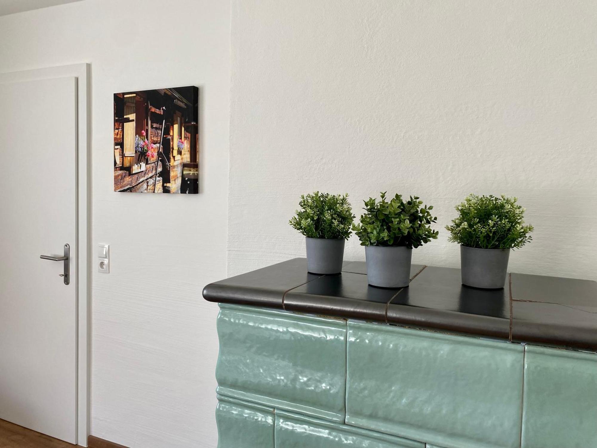 Appartements Wieseneck - Ramsau Am Dachstein - Inklusive Sommercard ! Ramsau am Dachstein Ngoại thất bức ảnh