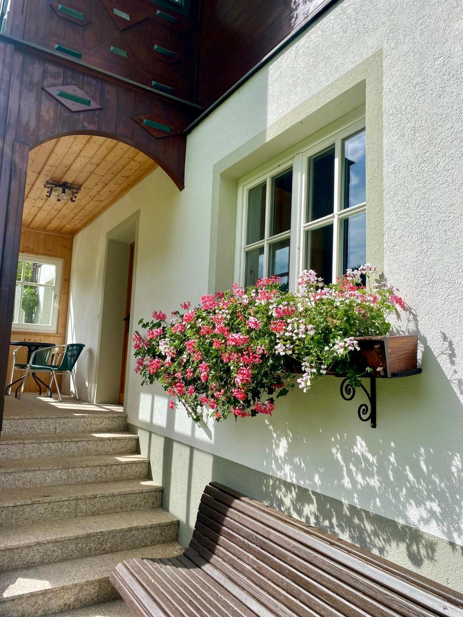 Appartements Wieseneck - Ramsau Am Dachstein - Inklusive Sommercard ! Ramsau am Dachstein Ngoại thất bức ảnh